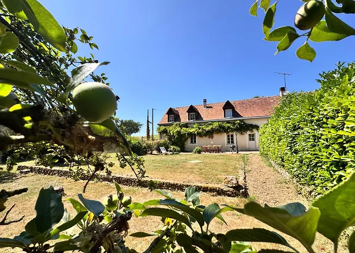 Le Grand Bricoin - Campagne - Parking - 12 Pers * Thorigné-sur-Dué